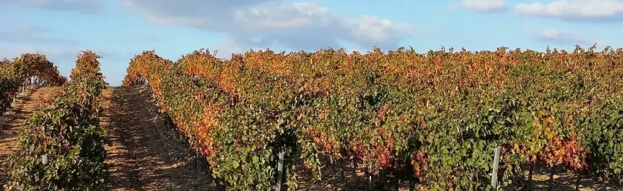Estancos en la provincia de La Rioja